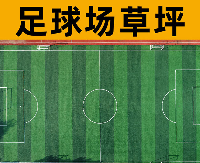 常見的沈陽人造草坪有哪幾種？你知道嗎