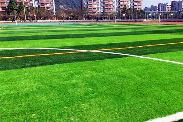 綠色未來，用心鋪就——沈陽人造草坪生產(chǎn)廠家參與全國低碳日